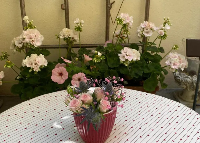 Neles Nest 3* Orlamunde