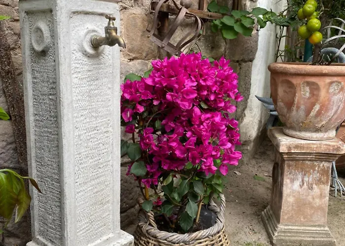 Oda ve Kahvaltı Neles Nest 3*